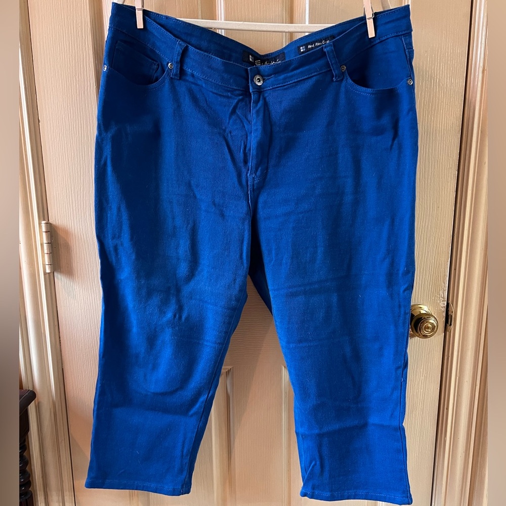 Salt Works Women's Blue Ankle & Cropped Jeans
